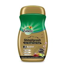 Zandu Shilajathprash Legiyam